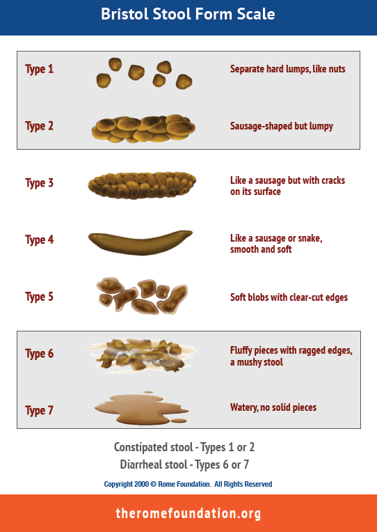Bristol Stool Form Scale